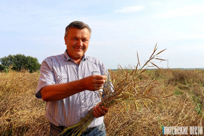 Водитель-тысячник из Дубровенского района Александр Батян: «Стараемся не ради рекордов, а чтобы получить максимум урожая»