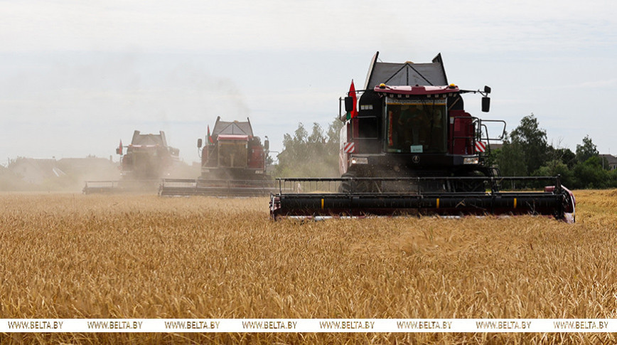 Lukashenko wants several tasks completed before mass harvesting campaign begins