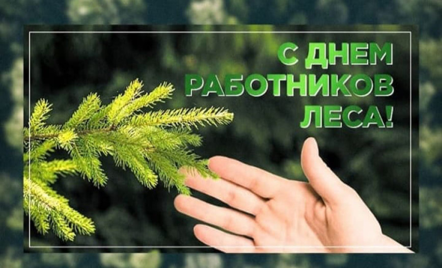 Уважаемые работники и ветераны лесной отрасли района! Поздравляем вас с Днем работников леса!