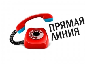 Сенатар Ірына Ляўковіч правядзе «прамую лінію» 21 снежня<br />