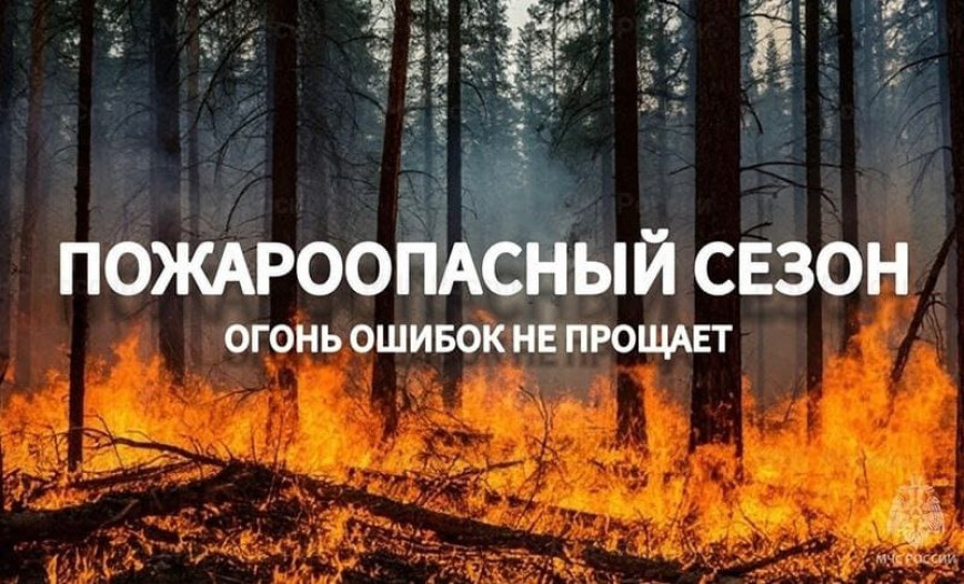 Пачатак пажаранебяспечнага сезона на тэрыторыі ляснога фонду Талачынскага лясгаса!