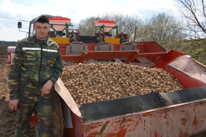Пасадку бульбы пачалі на палях Талачынскага кансервавага завода<br />