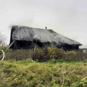 На пожаре в Мартюхово погиб человек.