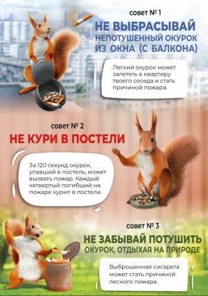 Не жди белочку – туши окурок!